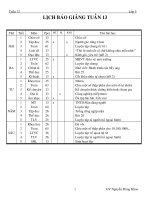 lớp 5(2010-2011)Tuần 13.