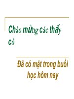 Bài 42: Lớp một lá mầm và lớp hai lá mầm