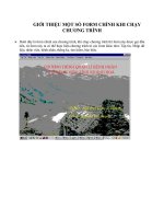 GIỚI THIỆU MỘT SỐ FORM CHÍNH KHI CHẠY CHƯƠNG TRÌNH