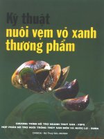 Kỹ thuật nuôi vẹm vỏ xanh thương phẩm
