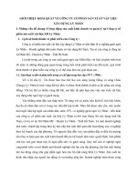 GIỚI THIỆU KHÁI QUÁT VỂ CÔNG TY CỔ PHẦN SẢN XUẤT VẬT LIỆU XÂY DỰNG LÝ NHÂN