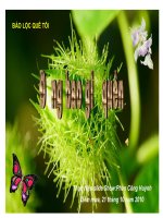 Đừng bao giờ quên