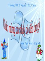 Bánh chưng bánh giầy - GV Nguyễn Thị Loan