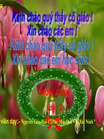 tnxh: lop2-mot so loai cay tren can