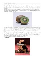 Siêu thực phẩm cho sức khỏe