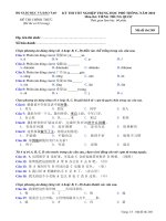 Đề thi chính thức kỳ thi tốt nghiệp THPT 2010 môn tiếng Trung (Mã đề thi 248)