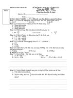 DE KTCKI (Toan + TV) Lop5 2010-2011 co HDC