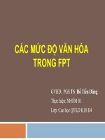 CÁC mức độ văn hóa TRONG FPT 