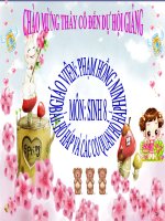 [Tiết 21] Hô hấp và Các cơ quan hô hấp