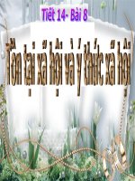 tiết 14 bài 8