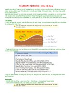 Thiết kế nhiều nội dung