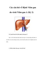 Các câu hỏi về Bệnh Viêm gan do virút Viêm gan A (Kỳ 2)