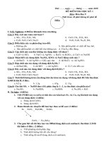 De thi HK I 2010-2011