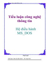 Tiểu luận công nghệ thông tin: Hệ điều hành MS_DOS