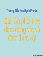 Ăn phối hợp đạm động vật và đạm thực vật