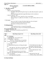 GA tieng viet lop 3 CKT-KN BVMT