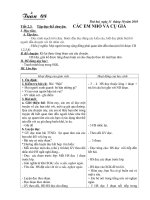 GA lớp 3Tuần 8- CKTKN - 2010