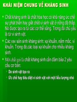 CN lên men