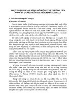 THỰC TRẠNG HOẠT ĐỘNG MỞ RỘNG THỊ TRƯỜNG CỦA CÔNG TY DƯỢC PHẨM ICA PHACMARCEUTICALS