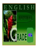 Bộ tranh Tiếng Anh 6