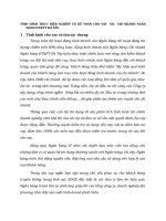 TÌNH HÌNH THỰC HIỆN NGHIỆP VỤ KẾ TOÁN CHO VAY  TẠI  CHI NHÁNH NGÂN HÀNG ĐT