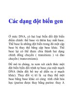 Các dạng đột biến gen