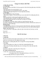 Giáo án 10-Ban cơ bản-chương 6