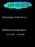 boi chung nho nhat moi cac thay co nhe