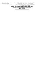 DE THI TOAN VAO LOP 10 PHAN BOI CHAU NGHE AN 20102011