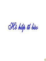 bai 16: hô hấp tế bào