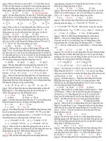 lai la dao dong deu hoa