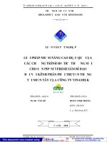 Giải pháp nâng cao hiệu quả chương trình xúc tiến bán hàng - mặt hàng Vfresh Sâm bí đao của Vinamilk