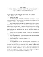 CƠ SỞ LÝ LUẬN VỀ PHÁT TRIỂN TÍN DỤNG CÁ NHÂN