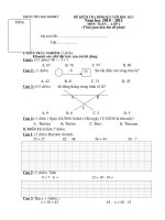 Đề KT CKI Lớp 2 (Toán + TV) 2010-2011