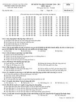 Kiểm tra 1t K12 HKI 10-11(Quốc)