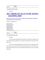 Quy trình sản xuất sương sáo