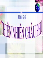 Thiên nhiên châu phi