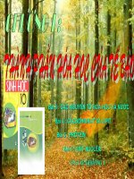 bài giảng sinh học 10/2