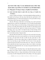 KẾ TOÁN TIÊU THỤ VÀ XÁC ĐỊNH KẾT QUẢ TIÊU THỤ HÀNG HÓA TẠI CÔNG TY CỔ PHẦN GAS PETROLIMEX
