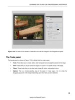 Foundation Flash CS5 For Designers- P2