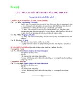 Cấu trúc đề thi HK2-2010 tinh Đồng Tháp