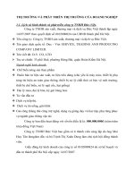 THỊ TRƯỜNG VÀ PHÁT TRIỂN THỊ TRƯỜNG CỦA DOANH NGHIỆP