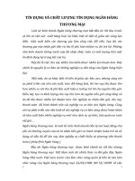 TÍN DỤNG VÀ CHẤT LƯỢNG TÍN DỤNG NGÂN HÀNG THƯƠNG MẠI