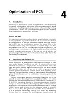 Optimization of PCR