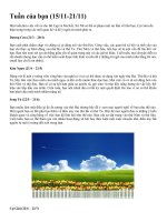 TUẦN CỦA BẠN 15-22/11/2010