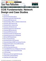 CCIE Fundamentals: Network Design and Case Studies
