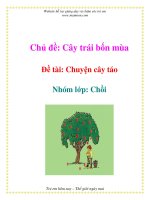 Chủ đề: Cây trái bốn mùa - Đề tài: Chuyện cây táo - Nhóm lớp: Chồi