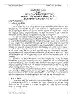 SÁNG KIẾN KINH NGHIỆM MÔN VĂN