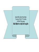 sinh 9 bệnh và tật di truyền