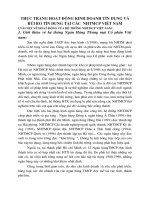 thực trạng hoạt động kinh doanh tín dụng và  rủi ro tín dụng tại các  nhtmcp việt nam